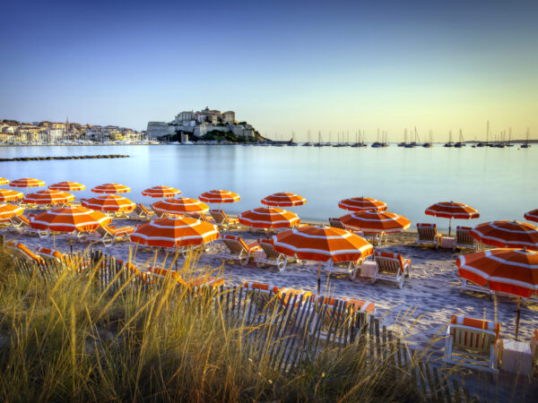 Calvi